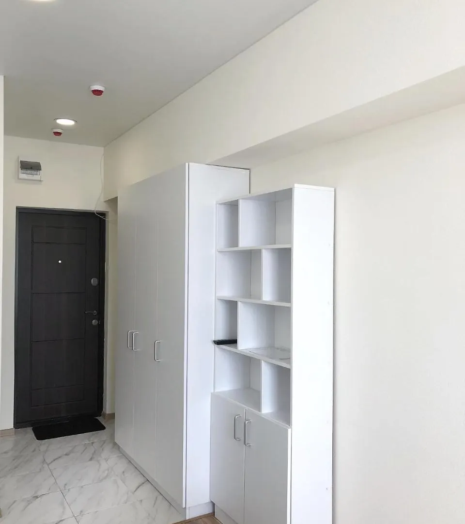 Apartmant In Kiev For Youアパートメント アパート キエフ